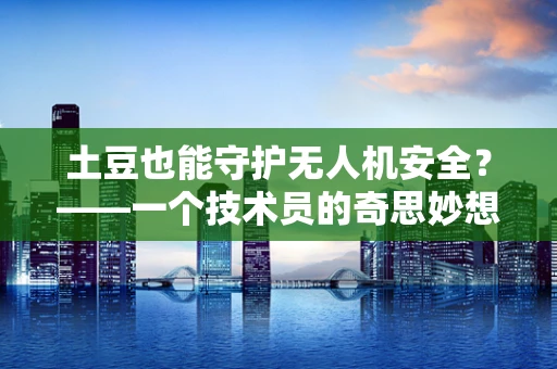 土豆也能守护无人机安全？——一个技术员的奇思妙想