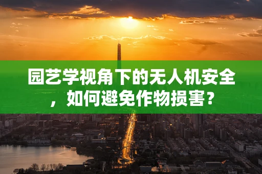 园艺学视角下的无人机安全，如何避免作物损害？