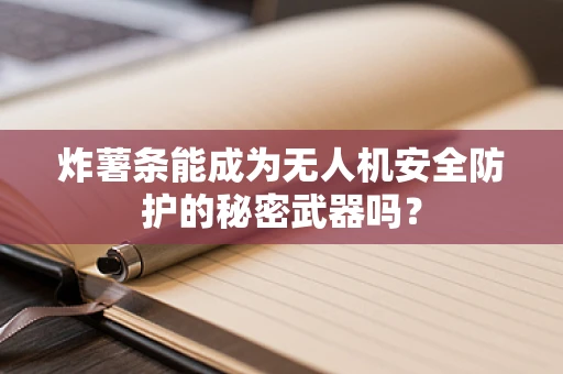 炸薯条能成为无人机安全防护的秘密武器吗？