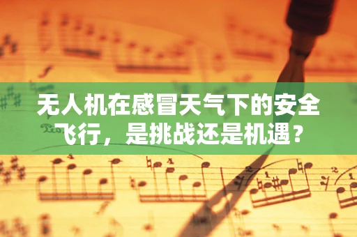 无人机在感冒天气下的安全飞行，是挑战还是机遇？