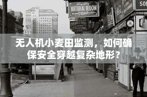 无人机小麦田监测，如何确保安全穿越复杂地形？