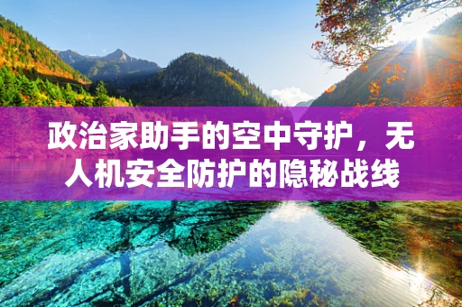 政治家助手的空中守护，无人机安全防护的隐秘战线