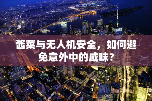 酱菜与无人机安全，如何避免意外中的咸味？
