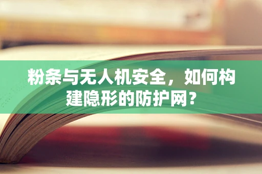 粉条与无人机安全，如何构建隐形的防护网？