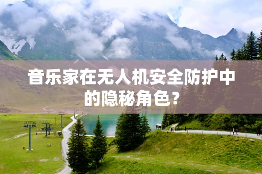 音乐家在无人机安全防护中的隐秘角色？