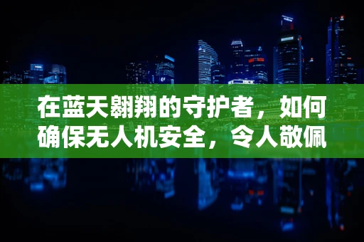 在蓝天翱翔的守护者，如何确保无人机安全，令人敬佩的挑战！