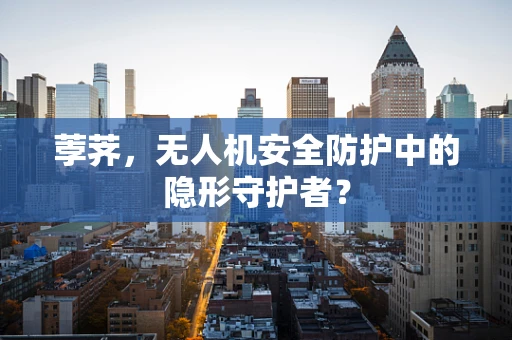 荸荠，无人机安全防护中的隐形守护者？