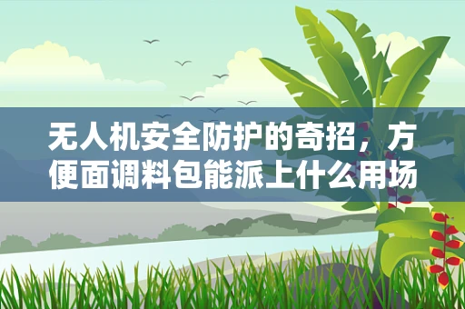 无人机安全防护的奇招，方便面调料包能派上什么用场？