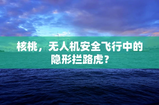 核桃，无人机安全飞行中的隐形拦路虎？