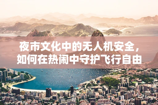 夜市文化中的无人机安全，如何在热闹中守护飞行自由？
