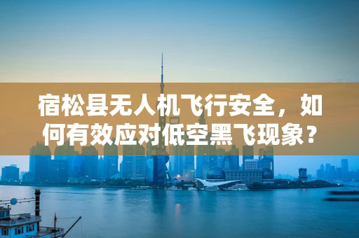 宿松县无人机飞行安全，如何有效应对低空黑飞现象？
