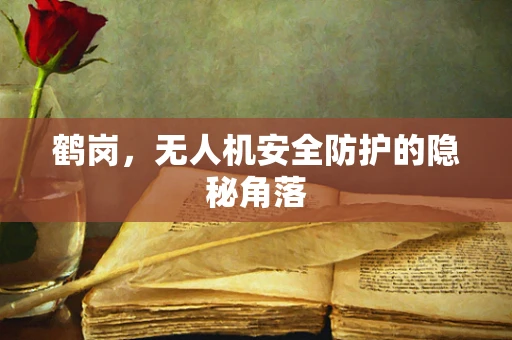 鹤岗，无人机安全防护的隐秘角落