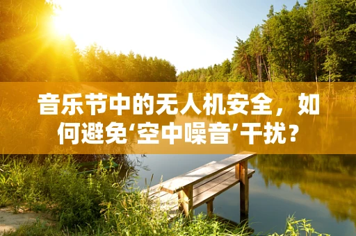 音乐节中的无人机安全，如何避免‘空中噪音’干扰？