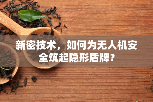 新密技术，如何为无人机安全筑起隐形盾牌？
