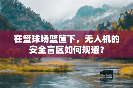 在篮球场篮筐下，无人机的安全盲区如何规避？