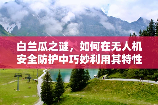 白兰瓜之谜，如何在无人机安全防护中巧妙利用其特性？