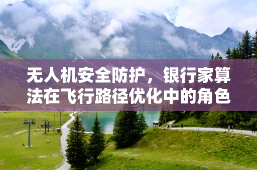 无人机安全防护，银行家算法在飞行路径优化中的角色与挑战
