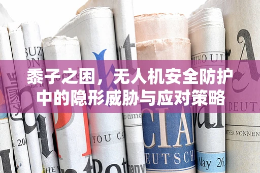 黍子之困，无人机安全防护中的隐形威胁与应对策略