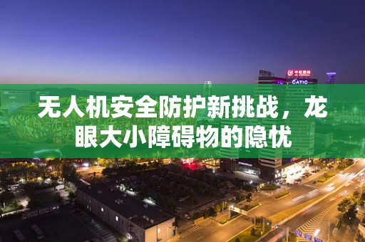 无人机安全防护新挑战，龙眼大小障碍物的隐忧