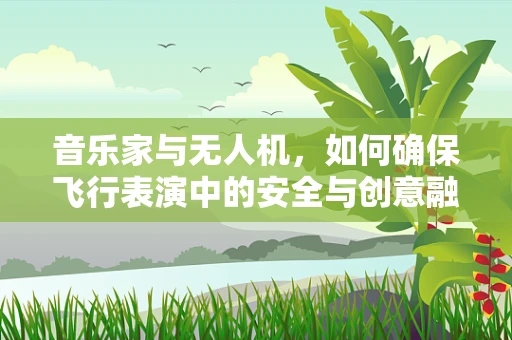 音乐家与无人机，如何确保飞行表演中的安全与创意融合？
