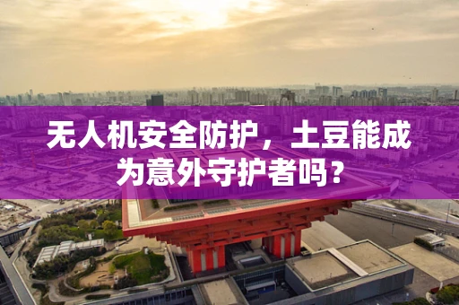 无人机安全防护，土豆能成为意外守护者吗？