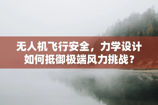 无人机飞行安全，力学设计如何抵御极端风力挑战？