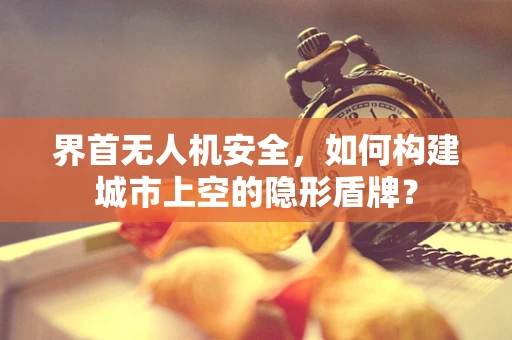 界首无人机安全，如何构建城市上空的隐形盾牌？