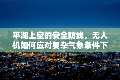 平湖上空的安全防线，无人机如何应对复杂气象条件下的挑战？