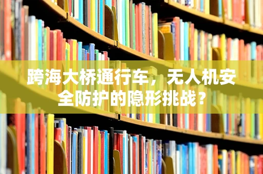 跨海大桥通行车，无人机安全防护的隐形挑战？