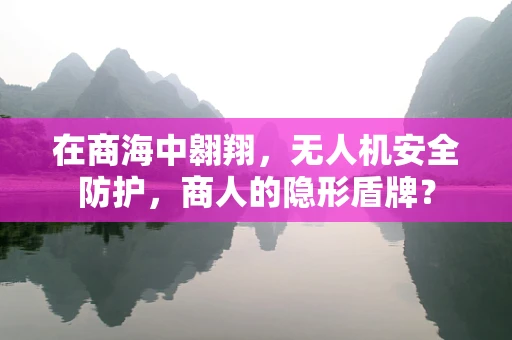 在商海中翱翔，无人机安全防护，商人的隐形盾牌？