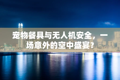 宠物餐具与无人机安全，一场意外的空中盛宴？