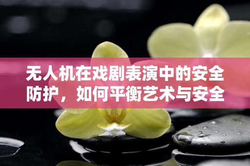 无人机在戏剧表演中的安全防护，如何平衡艺术与安全？