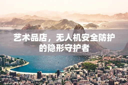 艺术品店，无人机安全防护的隐形守护者