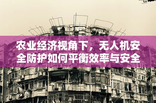 农业经济视角下，无人机安全防护如何平衡效率与安全？