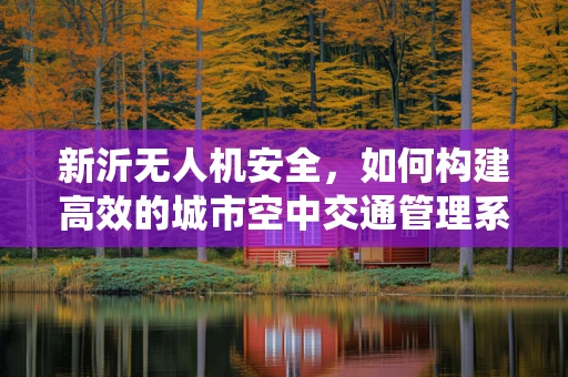 新沂无人机安全，如何构建高效的城市空中交通管理系统？