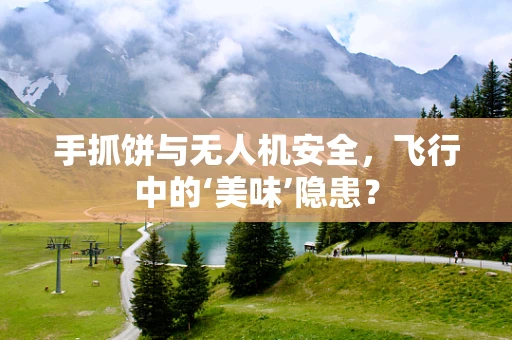 手抓饼与无人机安全，飞行中的‘美味’隐患？