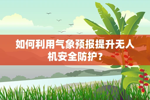 如何利用气象预报提升无人机安全防护？