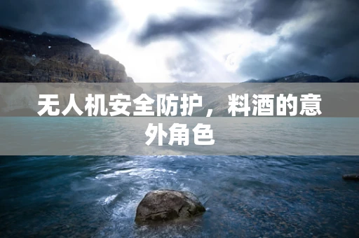无人机安全防护，料酒的意外角色