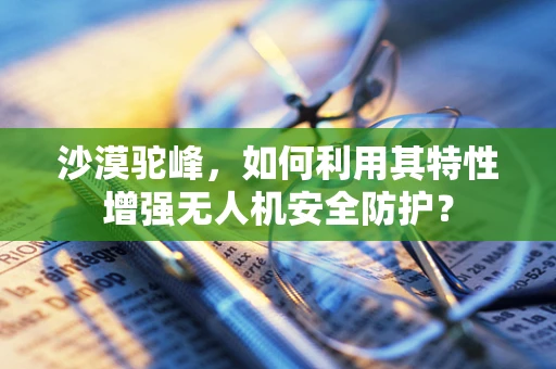 沙漠驼峰，如何利用其特性增强无人机安全防护？