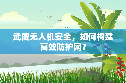 武威无人机安全，如何构建高效防护网？