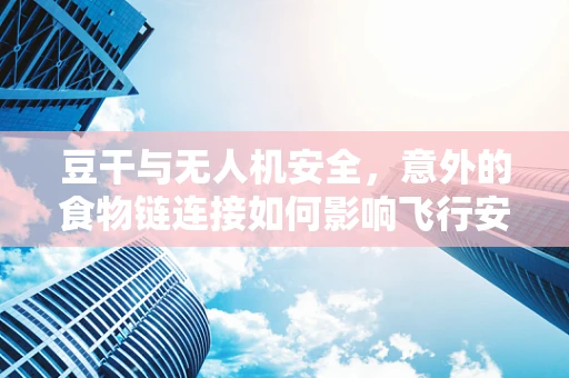 豆干与无人机安全，意外的食物链连接如何影响飞行安全？