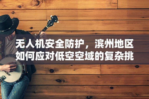 无人机安全防护，滨州地区如何应对低空空域的复杂挑战？