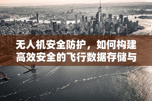 无人机安全防护，如何构建高效安全的飞行数据存储与访问机制？