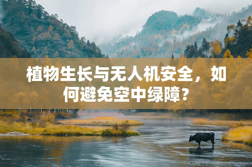 植物生长与无人机安全，如何避免空中绿障？