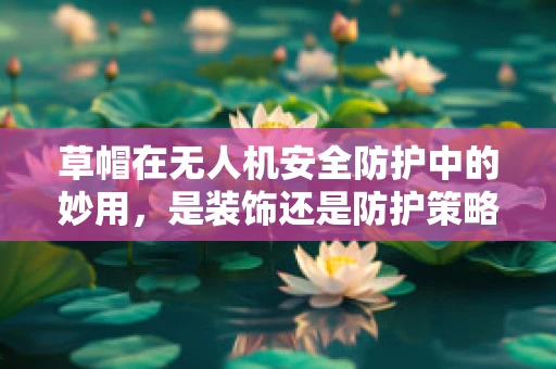草帽在无人机安全防护中的妙用，是装饰还是防护策略？