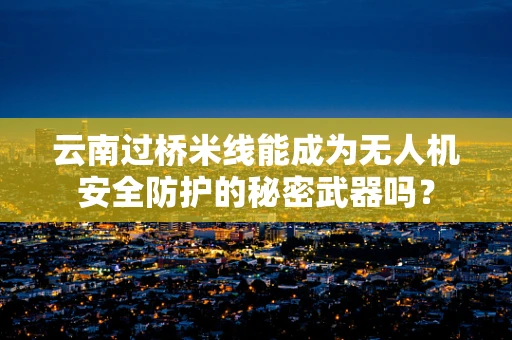 云南过桥米线能成为无人机安全防护的秘密武器吗？