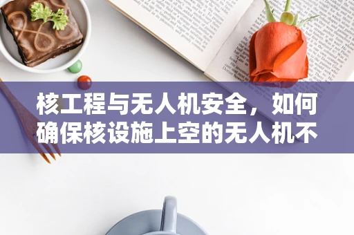核工程与无人机安全，如何确保核设施上空的无人机不被利用为攻击工具？