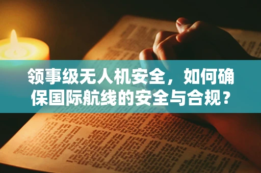 领事级无人机安全，如何确保国际航线的安全与合规？