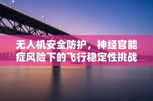 无人机安全防护，神经官能症风险下的飞行稳定性挑战