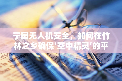 宁国无人机安全，如何在竹林之乡确保‘空中精灵’的平稳飞翔？